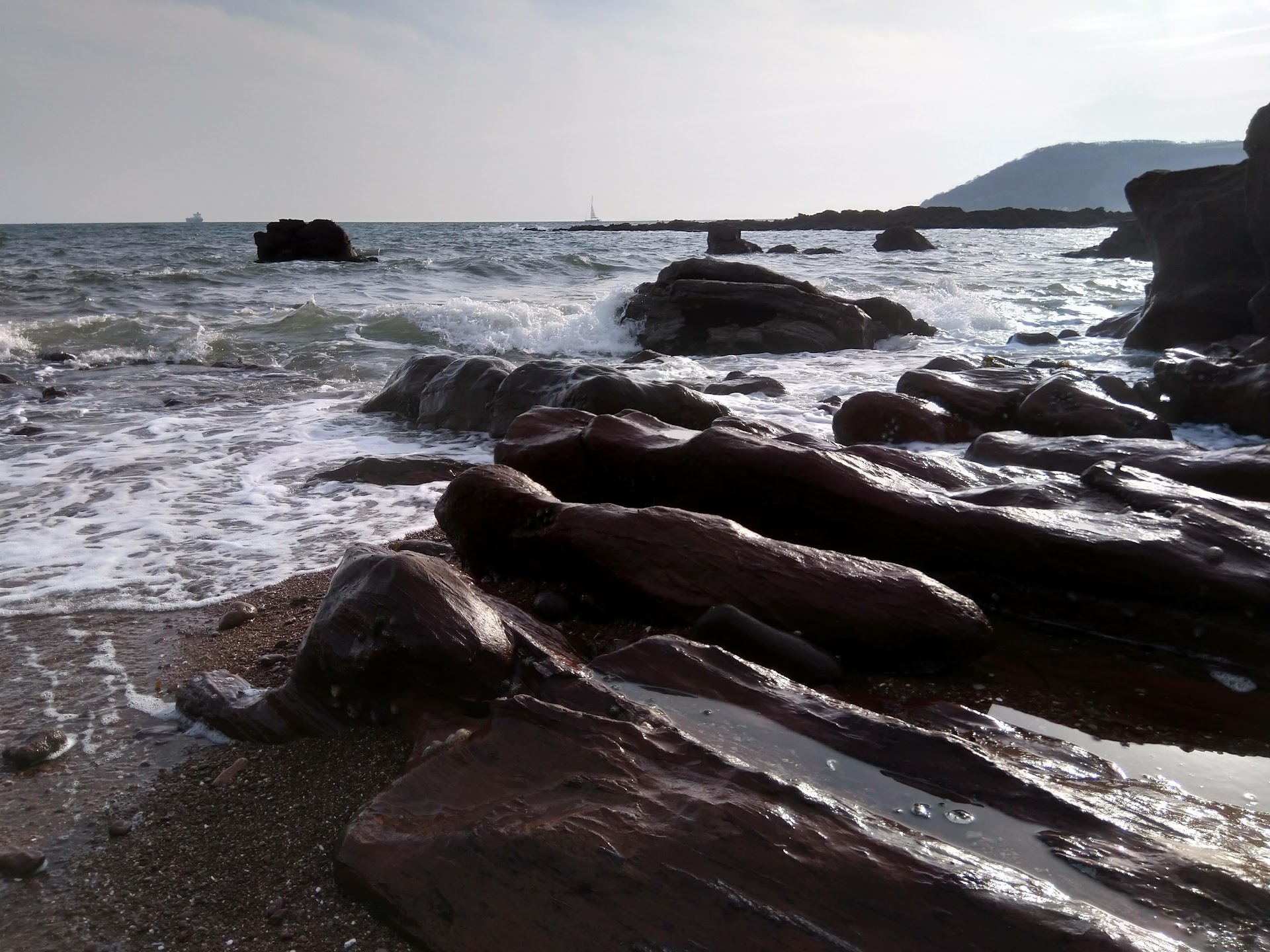 Sandways Beach dog-friendly beach, South Devon — year-round dog access