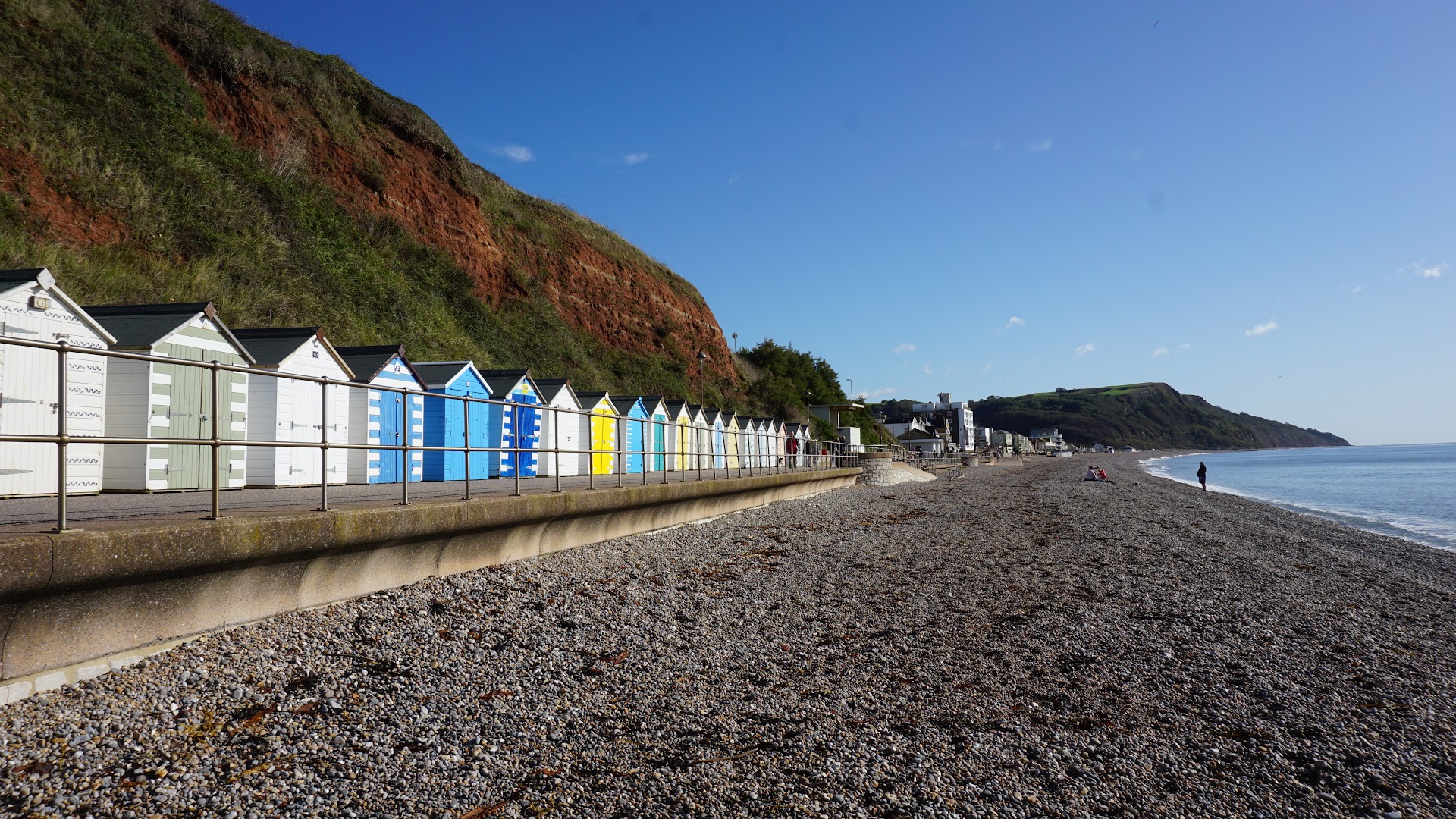 Seaton Beach dog-friendly beach, East Devon — year-round dog access