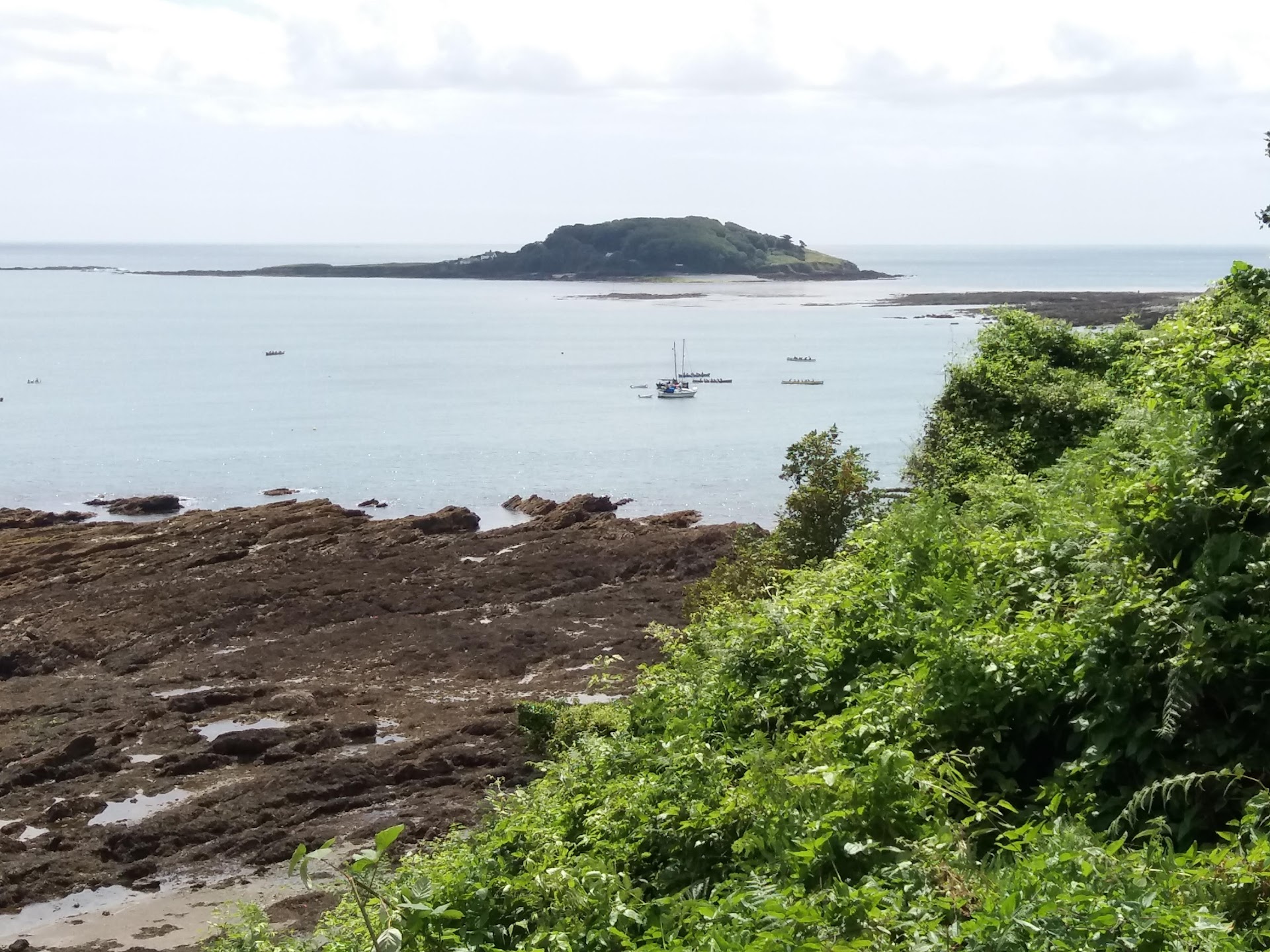 Second Beach dog-friendly beach, South Devon — year-round dog access
