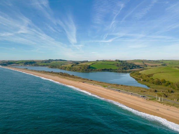Slapton Sands dog-friendly beach, South Devon — year-round dog access