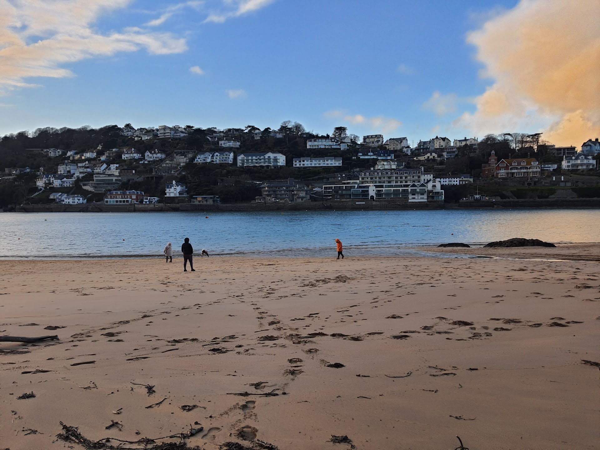 Small's Cove dog-friendly beach, South Devon — year-round dog access