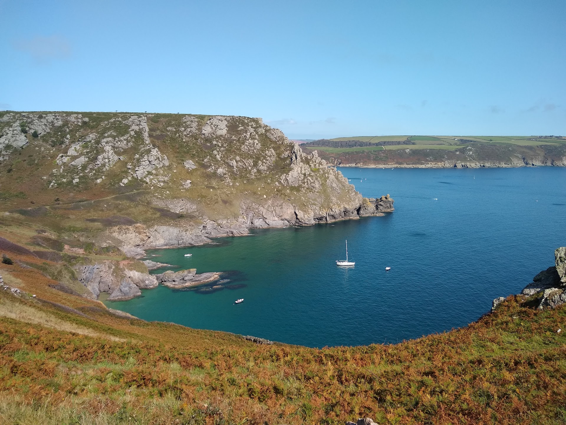 South Sands Beach dog-friendly beach, South Devon — seasonal dog access