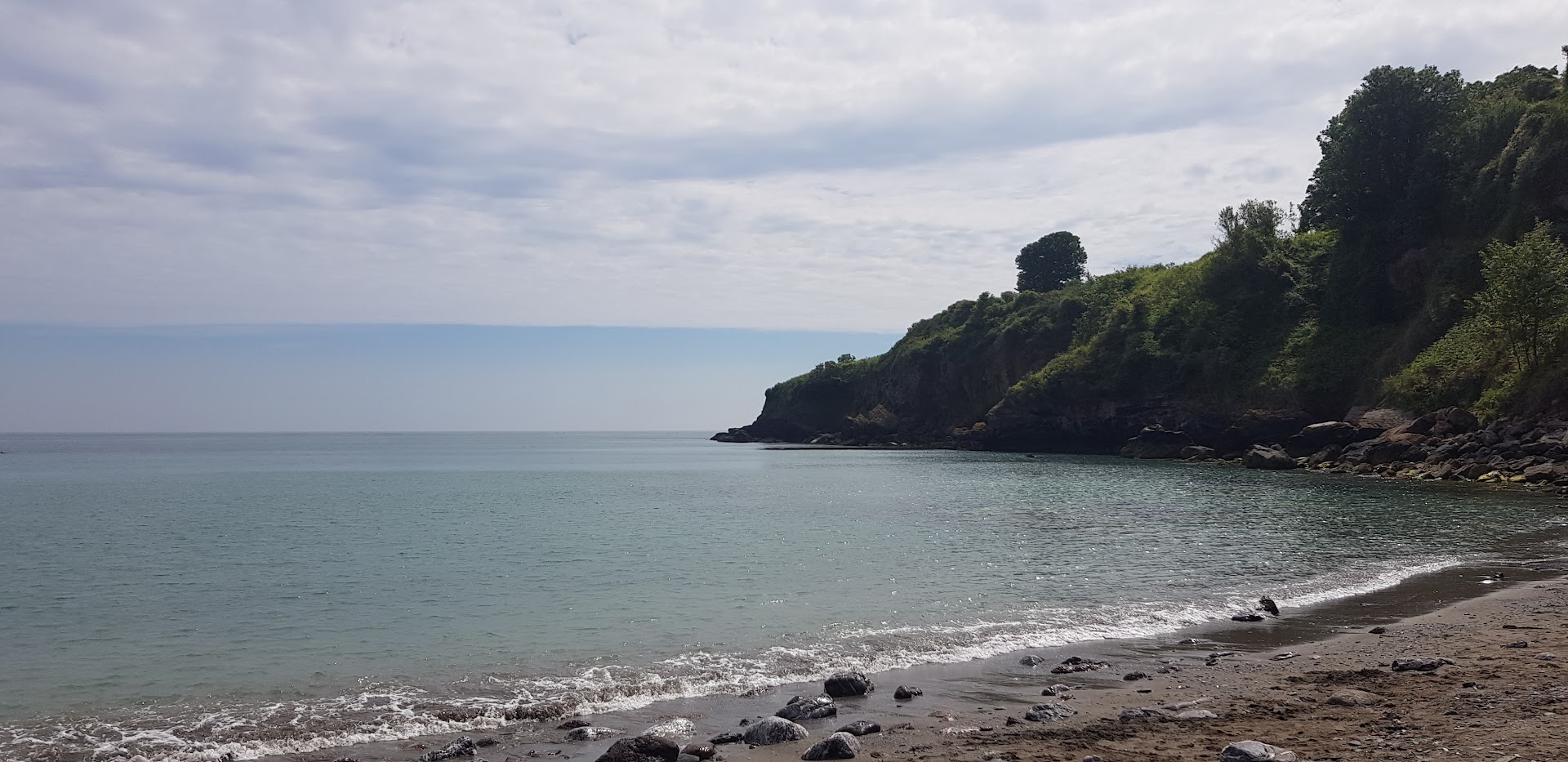 St Mary's Bay dog-friendly beach, Torbay — year-round dog access