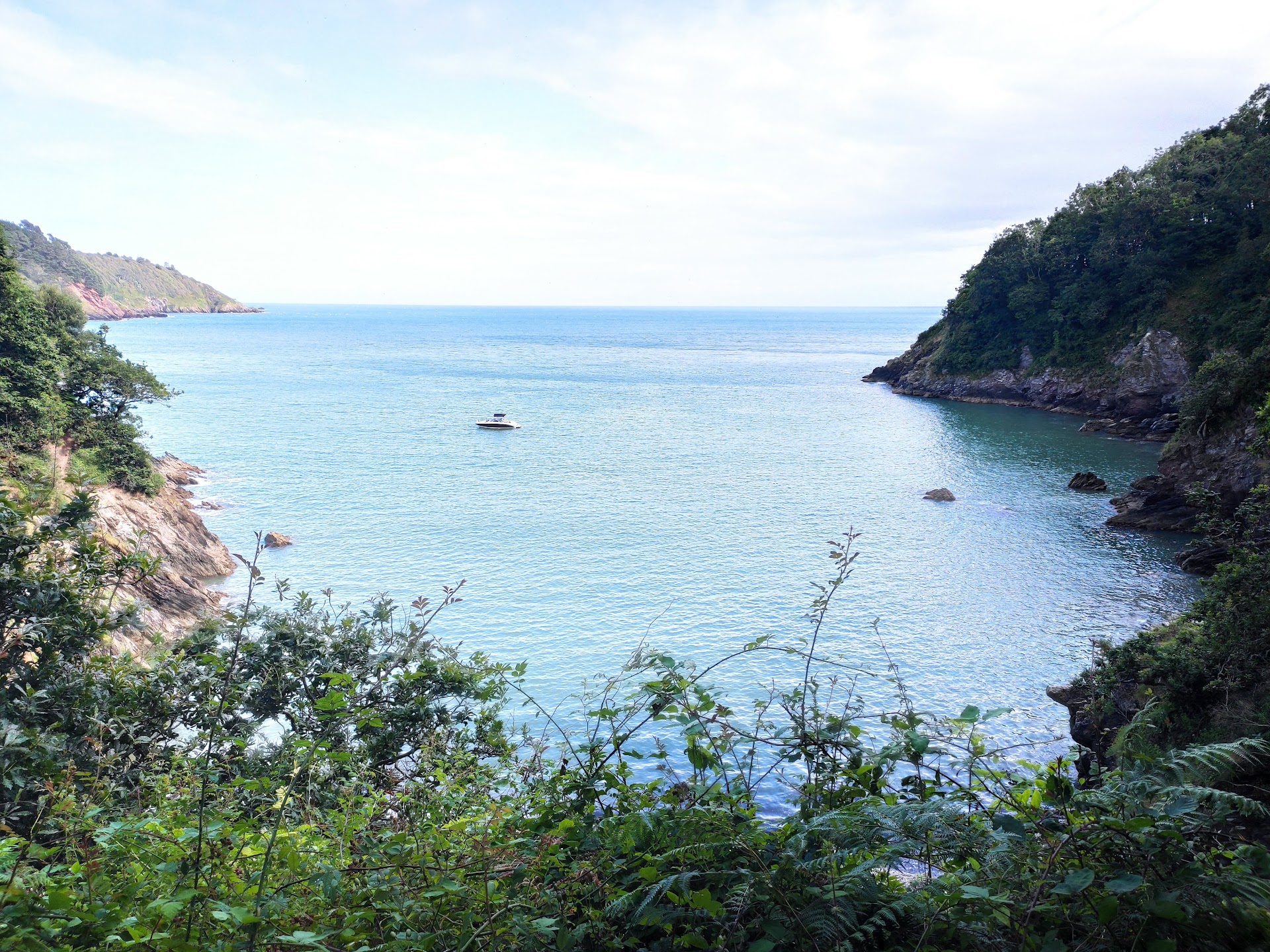 Sugary Cove Beach dog-friendly beach, South Devon — year-round dog access