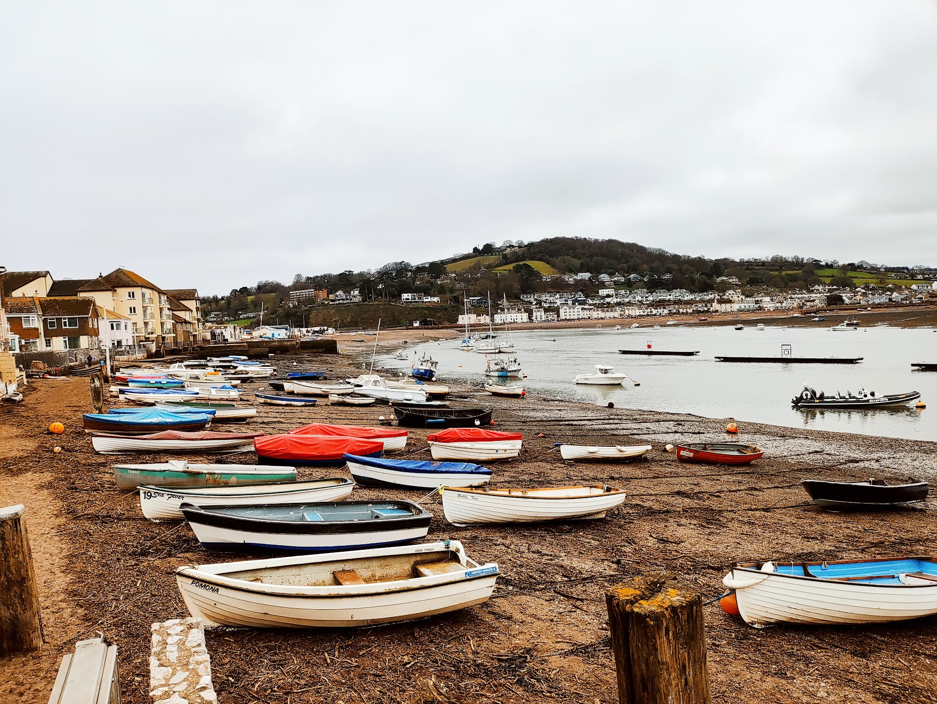 Teignmouth Back Beach dog-friendly beach, East Devon — year-round dog access