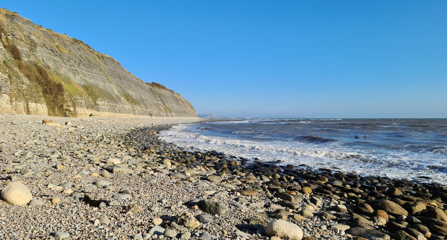 Watcombe Beach dog-friendly beach, Torbay — year-round dog access