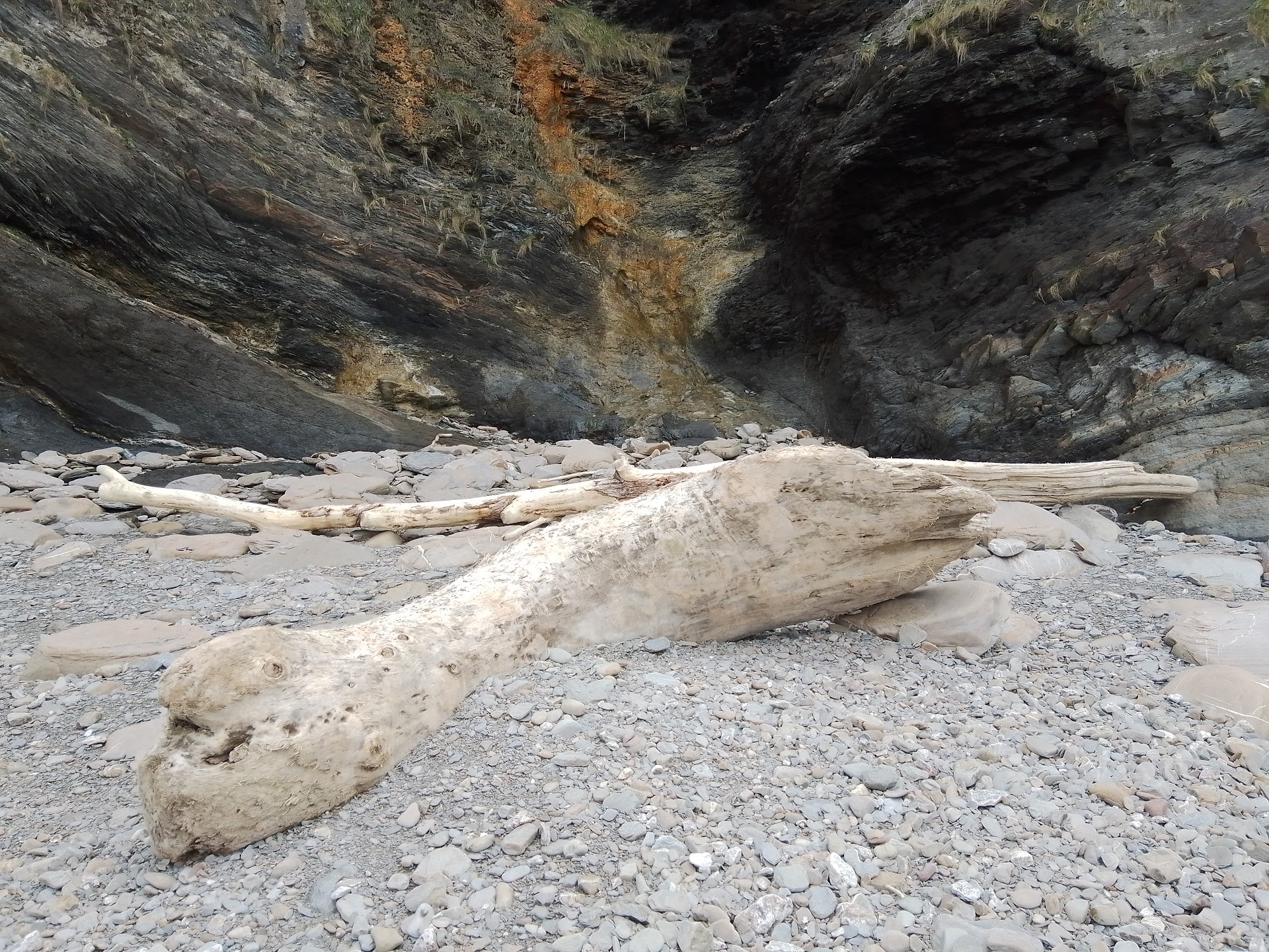 Wild Pear Beach dog-friendly beach, North Devon — year-round dog access