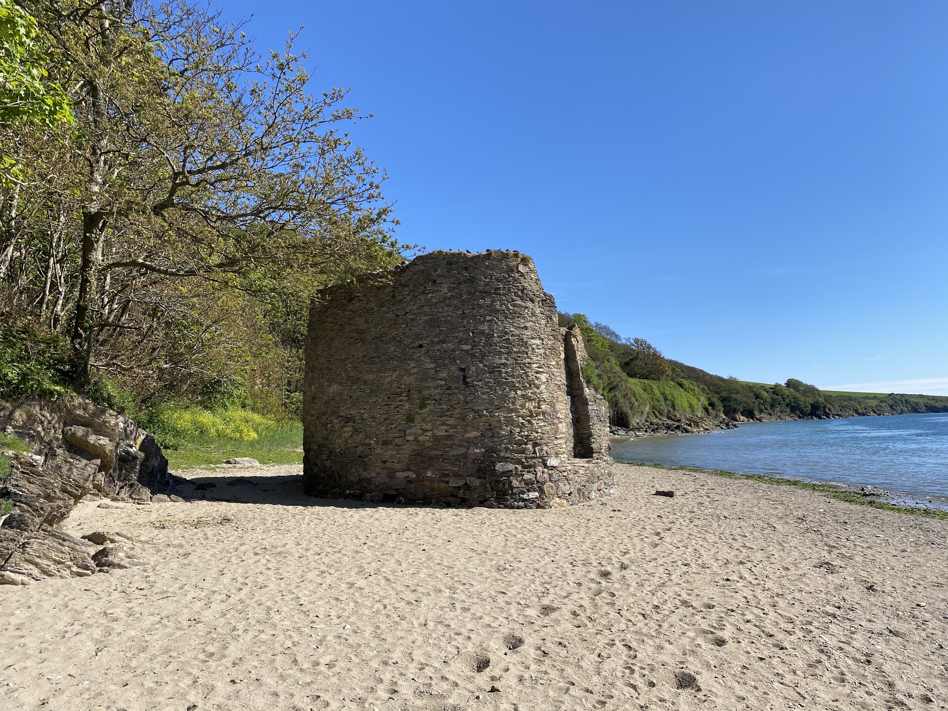 Wonwell Beach dog-friendly beach, South Devon — year-round dog access