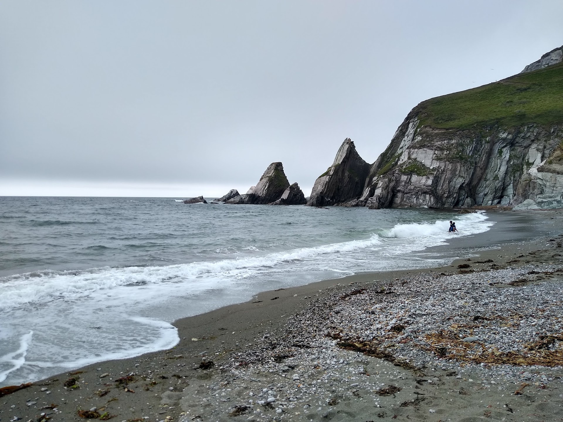 Wyscombe Beach dog-friendly beach, South Devon — year-round dog access